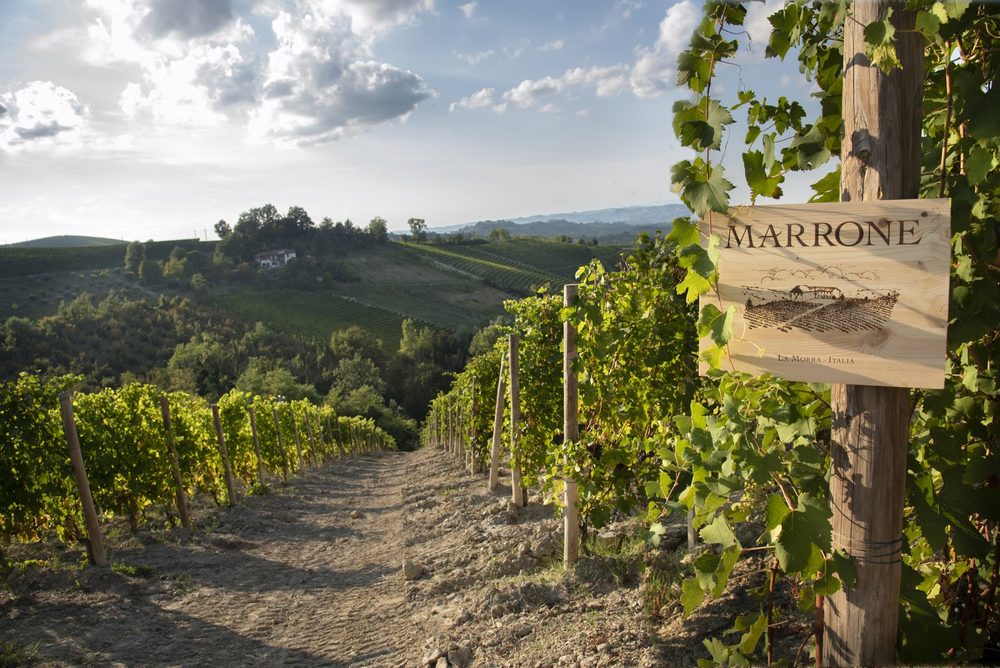 azienda agricola marrone