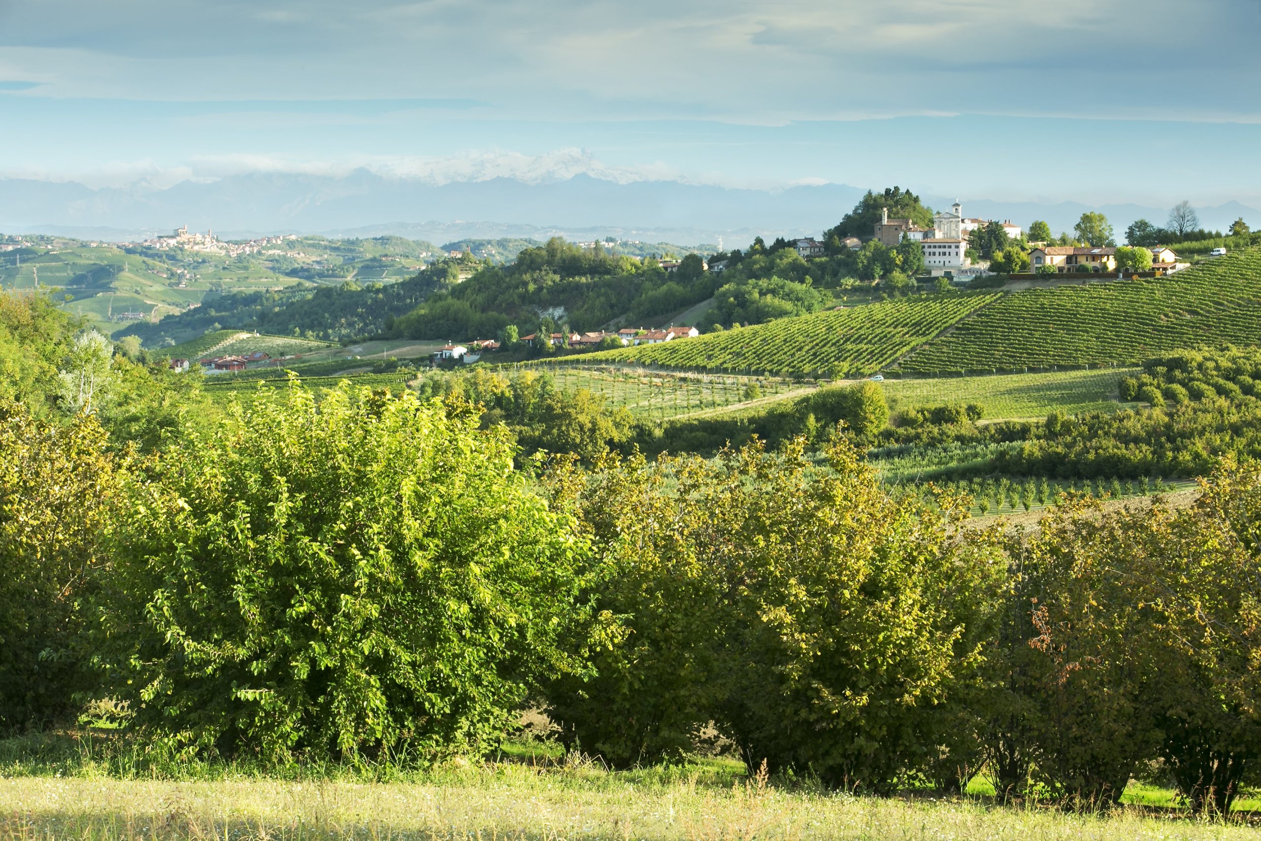 Enoteca Regionale Roero
