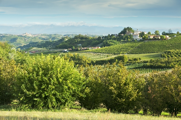 Enoteca Regionale Roero
