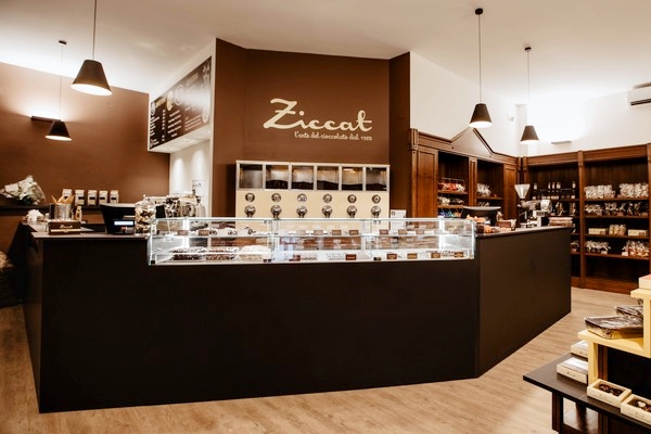 Ziccat Torino