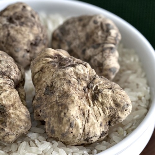 Tartufo Asti Alessandria