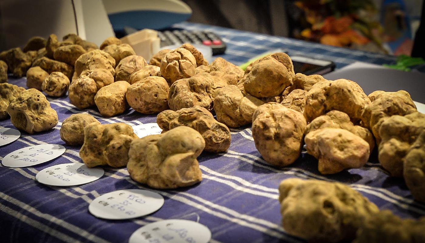 Tartufo Asti Alessandria